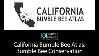 California Bumble Bee Atlas: Bumble Bee Conservation