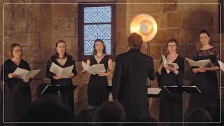 Allegri: Miserere | Peter Phillips & Tallis Scholars