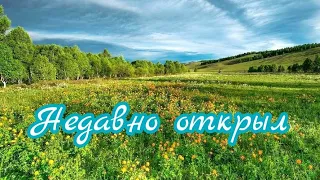 Недавно открыл... /христианская песня/ семья Кирнев