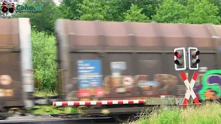 Bahnübergang Bad Bentheim (D) 😍4K😍 // German railroad crossing