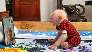 So touching! Monkey Luk shouted happily when receive phone call from dad