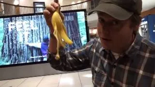 Tim Heidecker banana prank