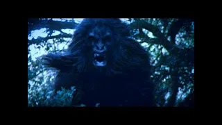 Screaming Bigfoot Stopped the Dogs Dead in their tracks!!