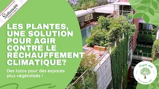 Les plantes, une solution pour faire face au réchauffement climatique?