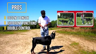 DIFFERENT DOG LEASHES & COLLARS | WHICH ONE SHOULD I USE? | DOBERMAN PINSCHER