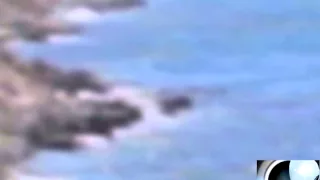 Amazing footage.mermaid shot on camera!!! Удивительные кадры. русалка снятая на камеру!!!
