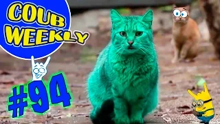 Coub Weekly # 94 Лучшие коубы недели. (Подборка COUB приколов 2016)