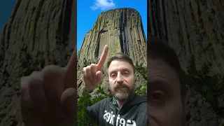 Is the devils tower actually a Giant fossilised tree??