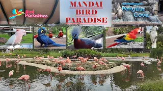 Walking Tour: Mandai Bird Paradise Singapore 2024