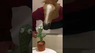 Buckets the Drummer vs. Dancing Cactus