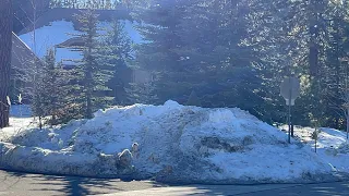 How much SNOW remains in Big Bear, CA and how are the roads?? Easy driving folks. February 4, 2021
