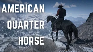 New Horse │ American Quarter Horse - Red Dead Redemption 2 - Modded PC