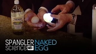 Naked Egg - Cool Science Experiment