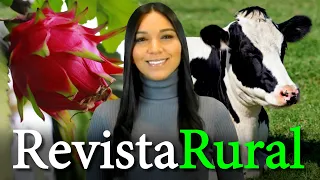 PROGRAMA REVISTA RURAL - 04/06/2023