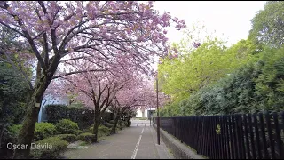 4K Quiet Morning Walk in Tokyo Japan before the city wakes up.