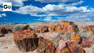 Petrified Forest National Park