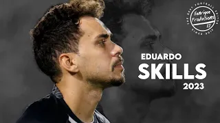 Eduardo ► Botafogo ● Goals and Skills ● 2023 | HD