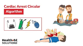 ACLS Cardiac Arrest Circular Algorithm