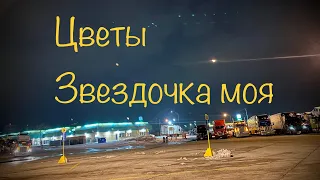 Цветы - Звездочка моя (караоке тракиста)