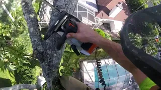 (RAW)#2 That one oak tree over power lines, we had them de-energized. Rigging explained/walk through