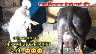 15 ले, 16 ले, 17 ले, 18 ले... और क्या ताऊ की दुकान लेगी || Pawan Lajwana Dairy Farm Jind