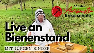 Live an Bienenstand mit Jürgen Binder
