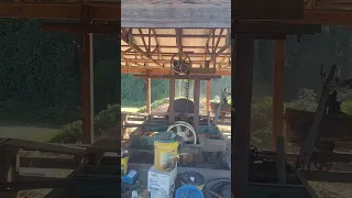 100 year old sawmill cutting pine