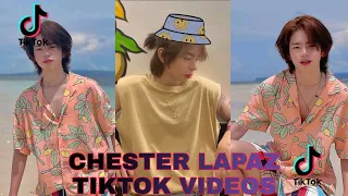 Chester Lapaz Tiktok Videos Compilation 20-21
