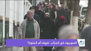 السوريون في الجزائر.. ضيوف أم لاجئون؟