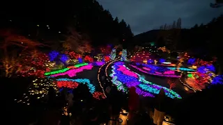 Snowy Christmas Lights At Butchart Gardens, Victoria BC, Canada