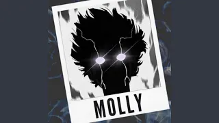Molly (Guitar Remix)