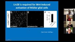 Neuroscience Graduate Program (NGP) 2021 Retreat Keynote Speaker: Bo Chen, Ph.D.