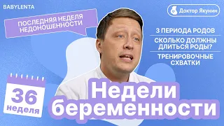 Тайны беременности: 36 неделя и ожидание/ Важное в этот период #беременность  #докторрекомендует