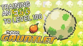 466 - Training an Egg to Level 100 Before it Hatches!! The Level 100 Gauntlet