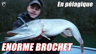 ENORME BROCHET sur le LAC de VOUGLANS