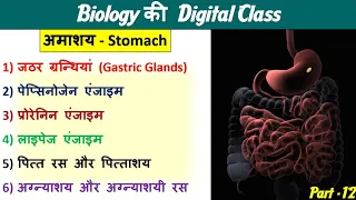12.Stomach (आमाशय) | Gastric Glands | Enzymes | Biology Classes by NItin Sir |Study91