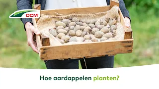 MOESTUIN - Hoe aardappelen planten?