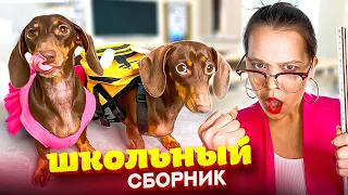 ЧАПИТОСИКОВ ВЫГНАЛИ СО ШКОЛЫ ИЗ-ЗА ВШЕЙ??? | Большой Чапитоскин сборник