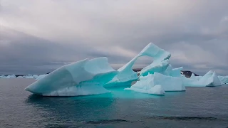 格陵蘭巴芬灣 Greenland ponant（因紐特人、雪橇狗、午夜日落）