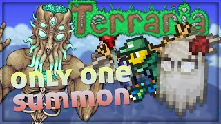 I Beat Terraria With Only One Summon