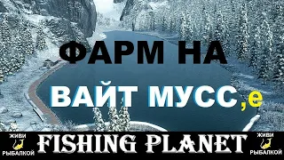 Fishing Planet - Фарм на Вайт Мус, озерная форель