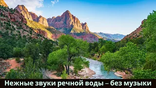 Успокаивающие звуки реки для релаксации 🌲 Вдохновляющие цитаты #49