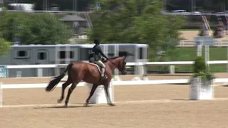 Video of NONCHALANT ridden by ALEXANDRA MILLER from ShowNet!