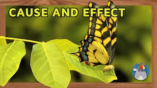 Minuscule - The Butterfly Effect