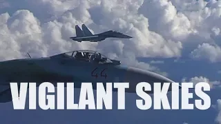 NATO and Russian jets fight terrorism in the skies