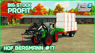 Making Silage, Soybean Supply&Transport Contracts(Big Profit) - Hof Bergmann #17 Farming Simulator22