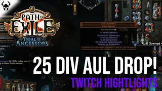 First 25 Divine Drop of the League! | Twitch Highlights | Path of Exile 3.22