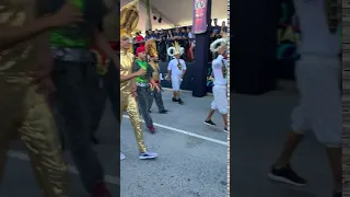 Carnaval en Punta Cana (3) 2019