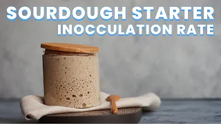 How much Sourdough Starter is Best?