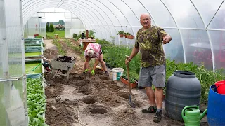 TEN DESZCZ URATOWAŁ NASZE GOSPODARSTWO - SADZIMY POMIDORY